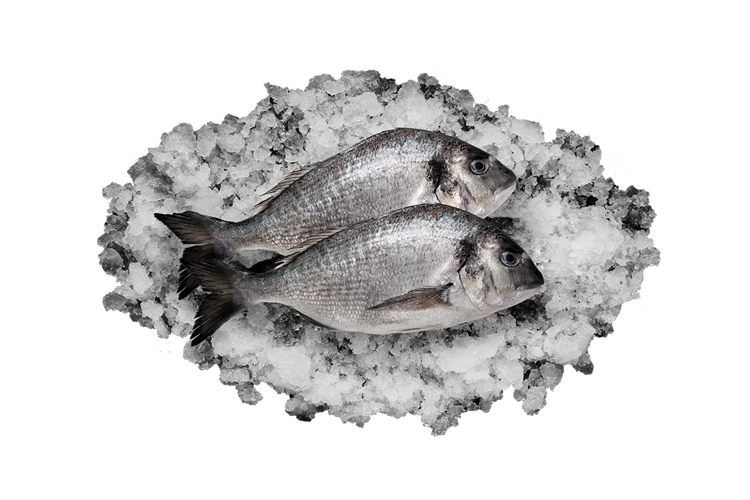 Дорадо непотрошёная