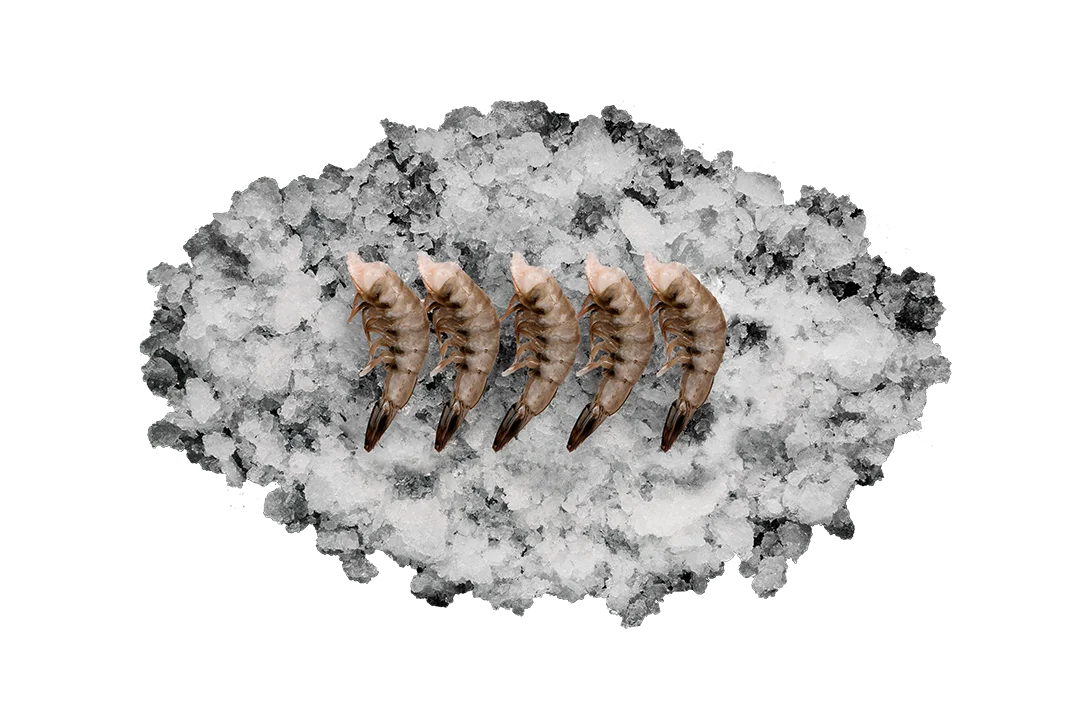 Креветка Ваннамей  в панцире