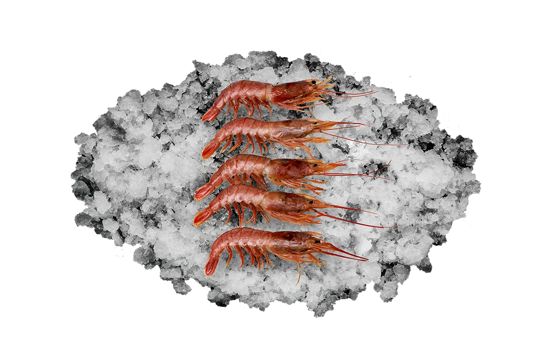 Лангустин  в панцире