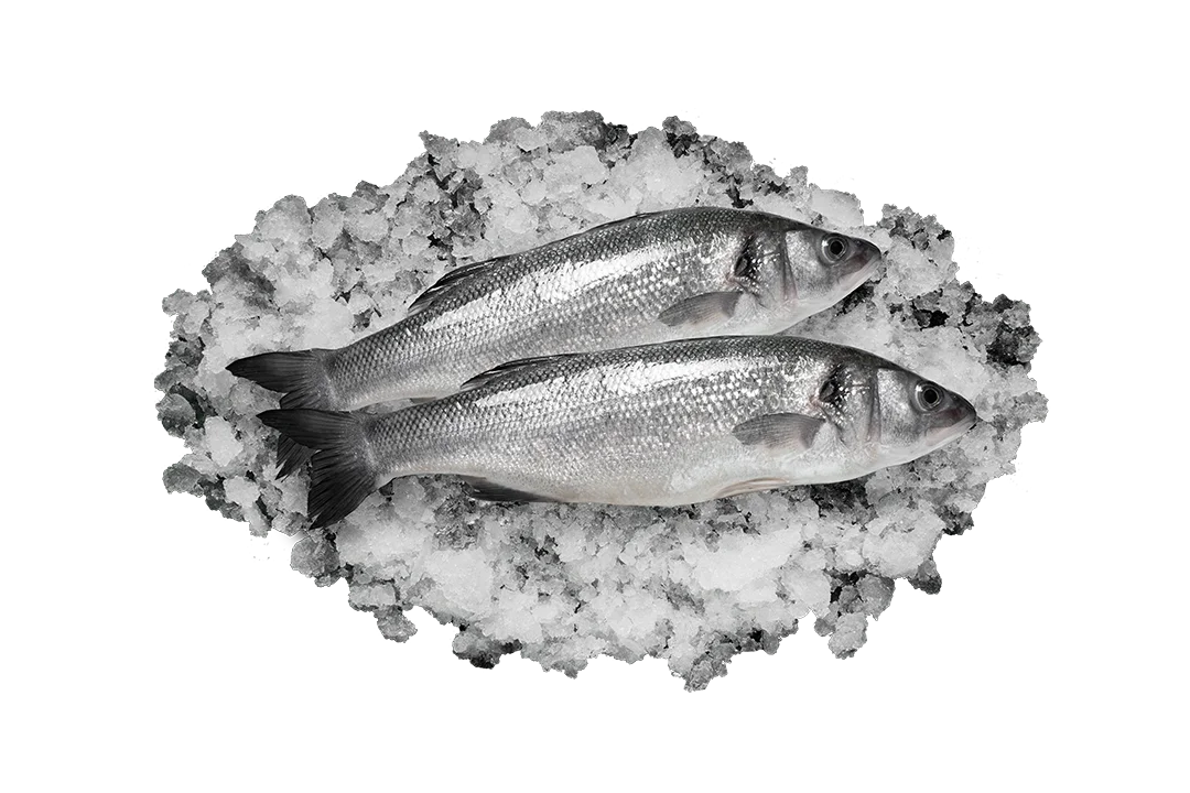 Сибас непотрошёный