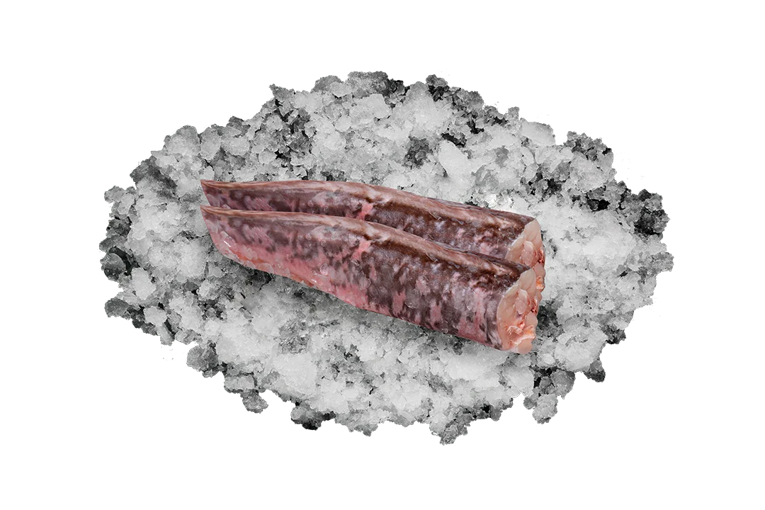 Конгрио тушка